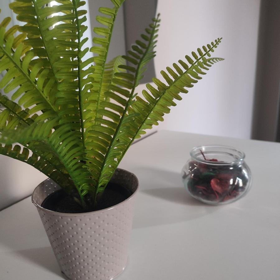 Apartament Terra Mea Reggio di Calabria Zewnętrze zdjęcie